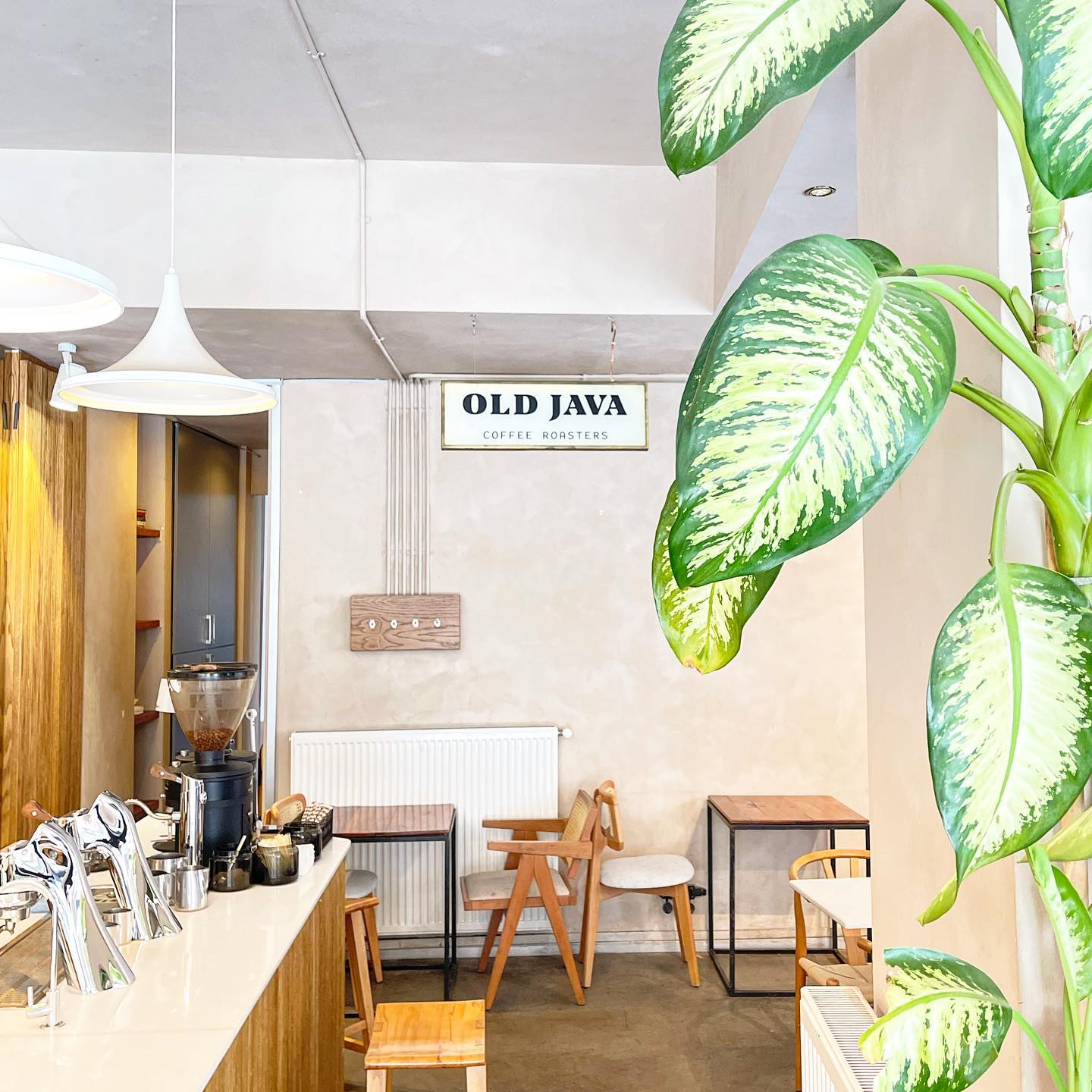 İstanbul'un En İyi Kahvecileri