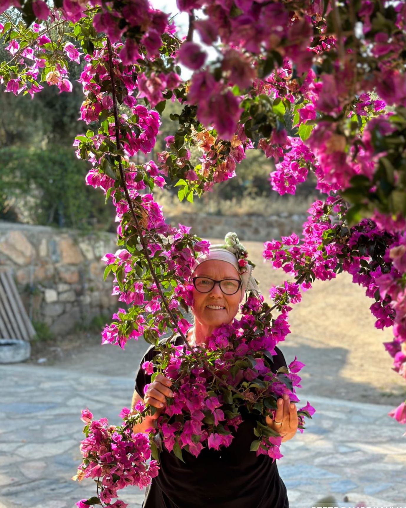 Sefte Bahçe